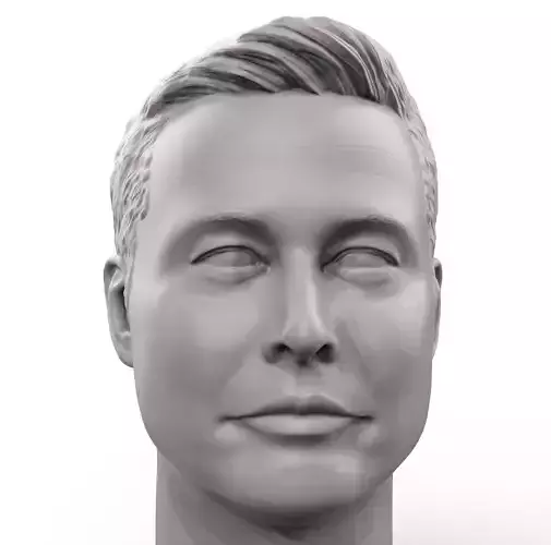Elon Musk 3D printable portrait sculpture  3D print model