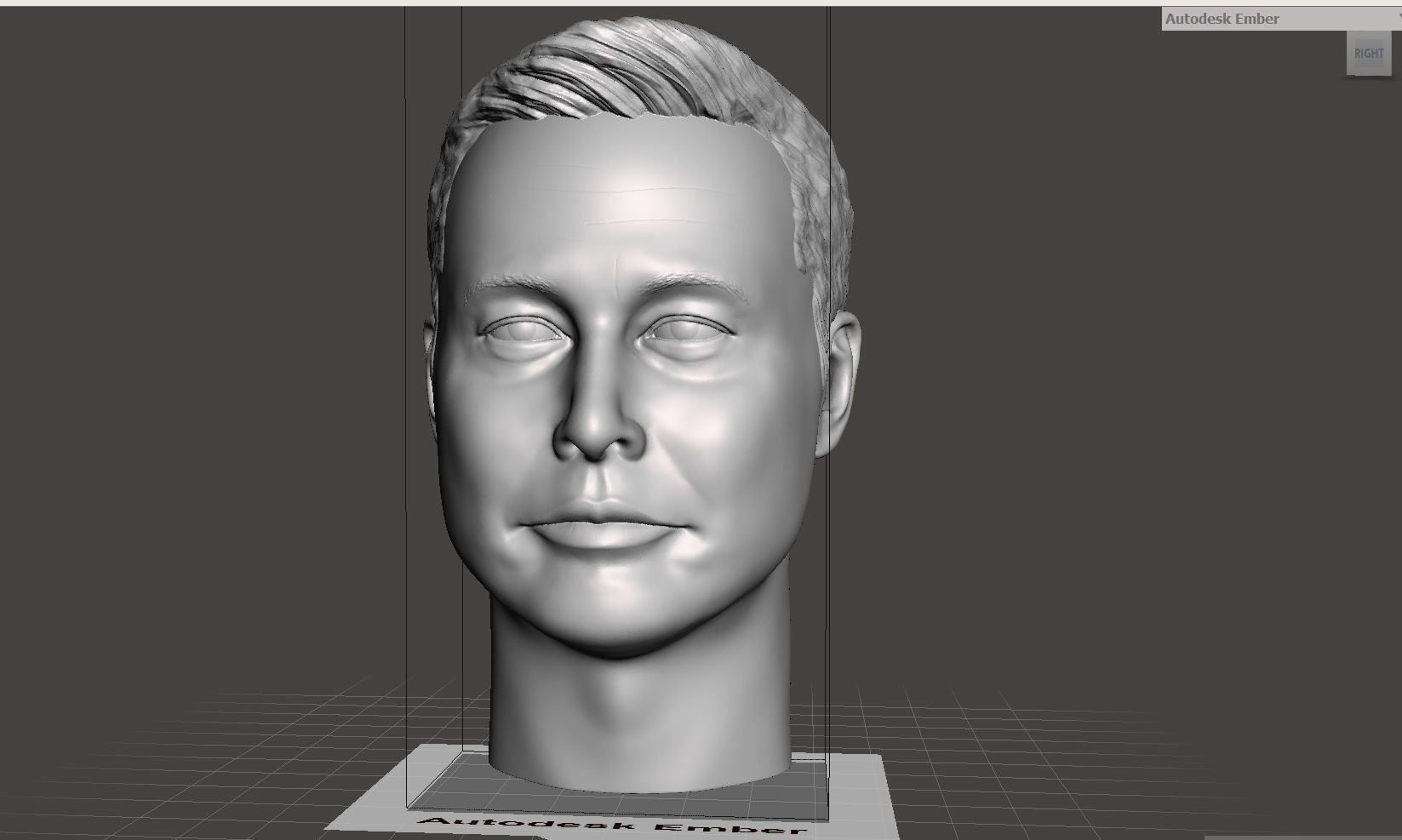 Elon Musk 3D printable portrait sculpture  3D print model_11