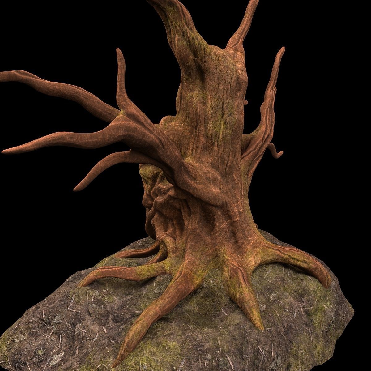 tree fantasy druid 3D model_2