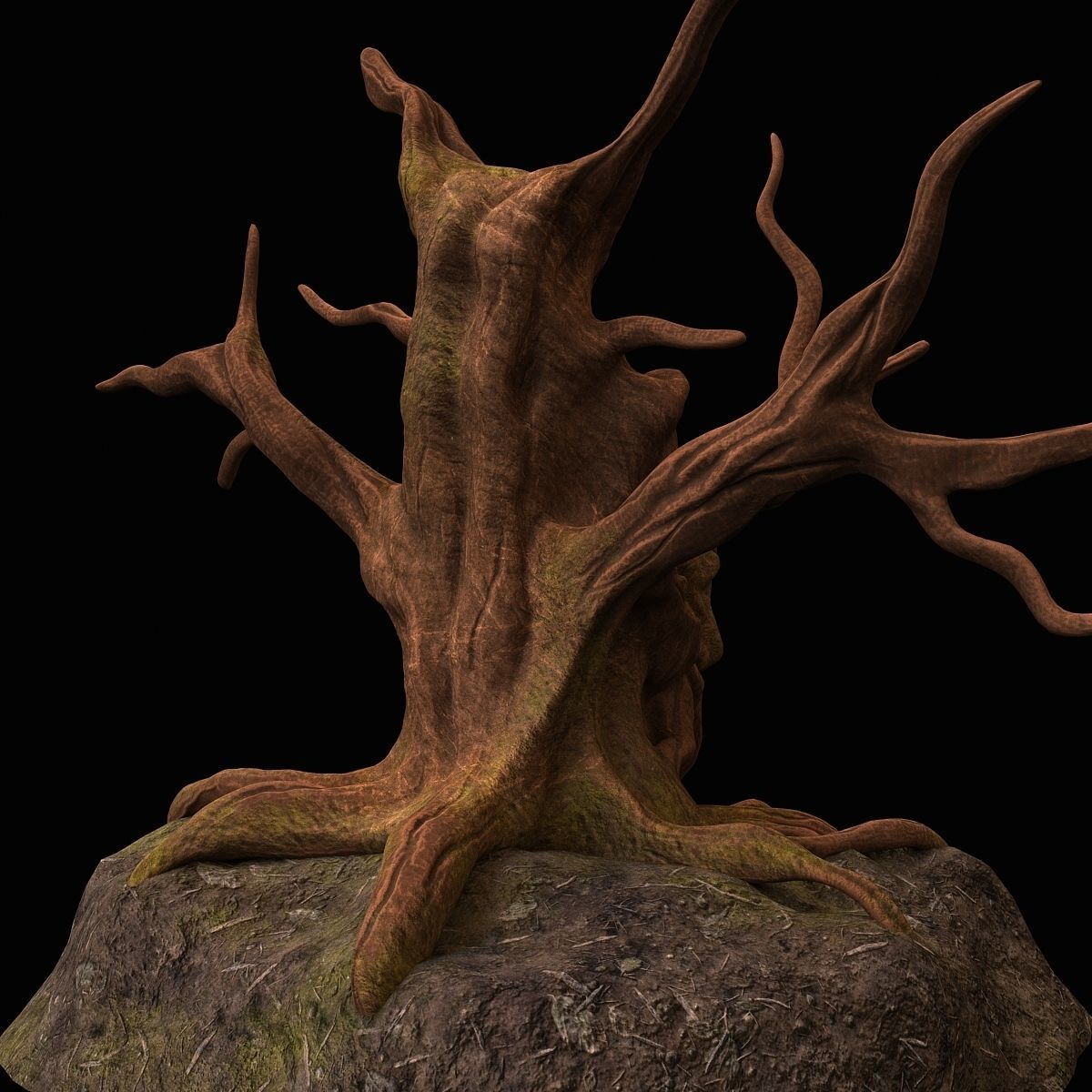 tree fantasy druid 3D model_5