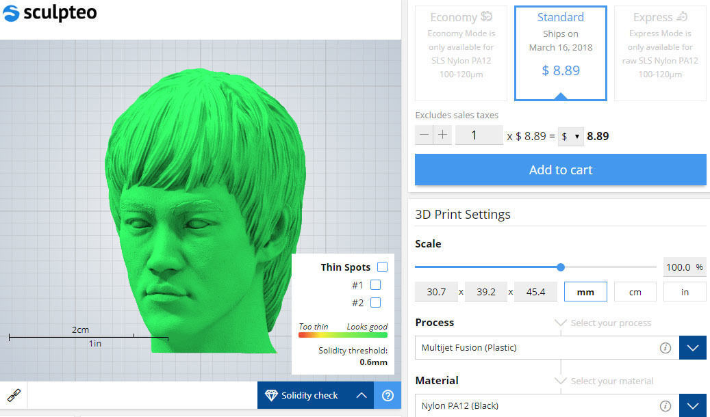 Bruce Lee 3D print model_1