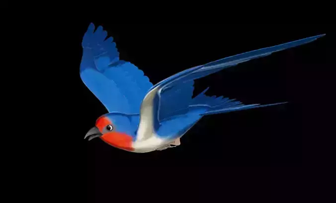 Rigged and animated cartoon swallow 