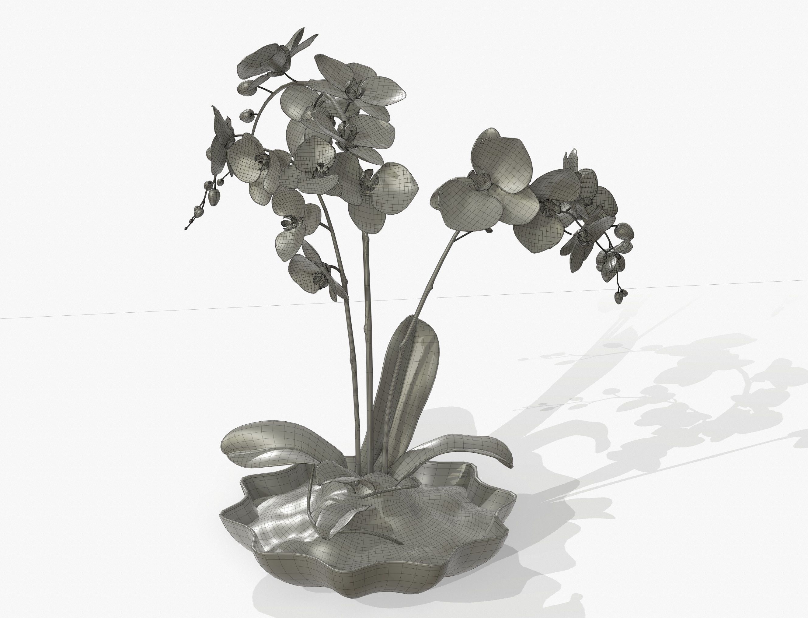 Orchidaceae orchid in vase 3D model_4