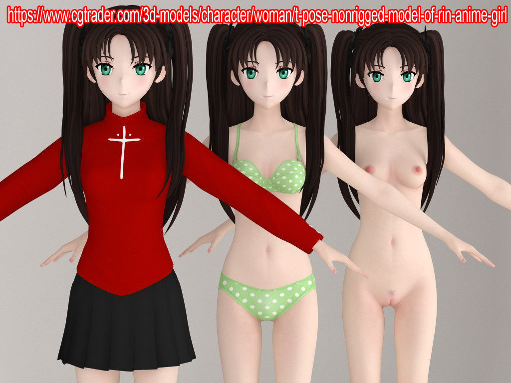 T pose nonrigged model of Saber anime girl 3D model_8