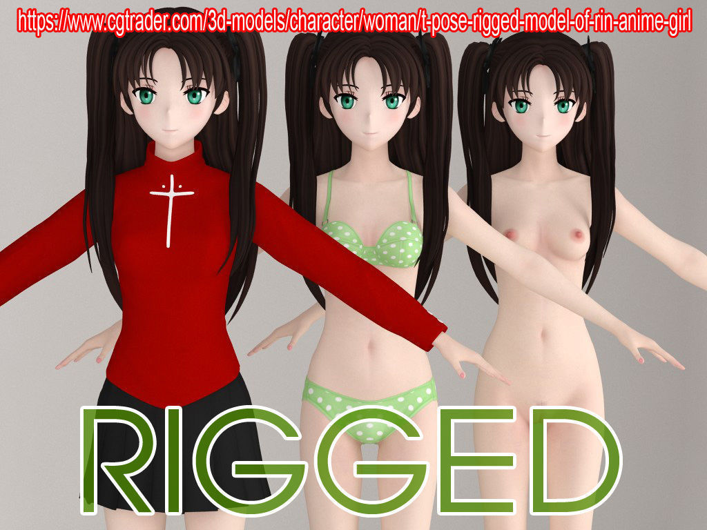 T pose rigged model of Saber anime girl 3D model_10