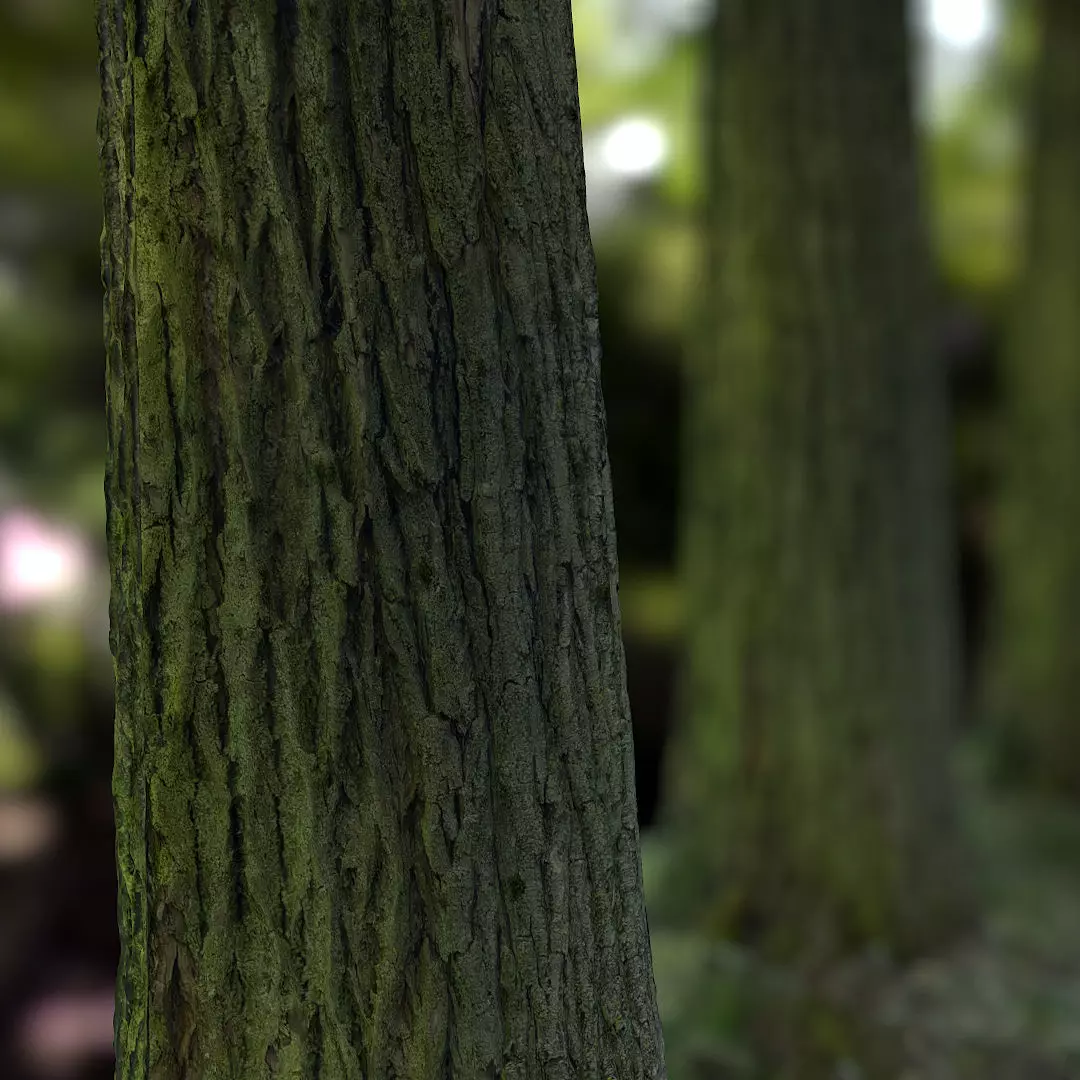 Tree Realistic - Low Poly - Game Ready close up of trees in f... Low-poly 3D model_0