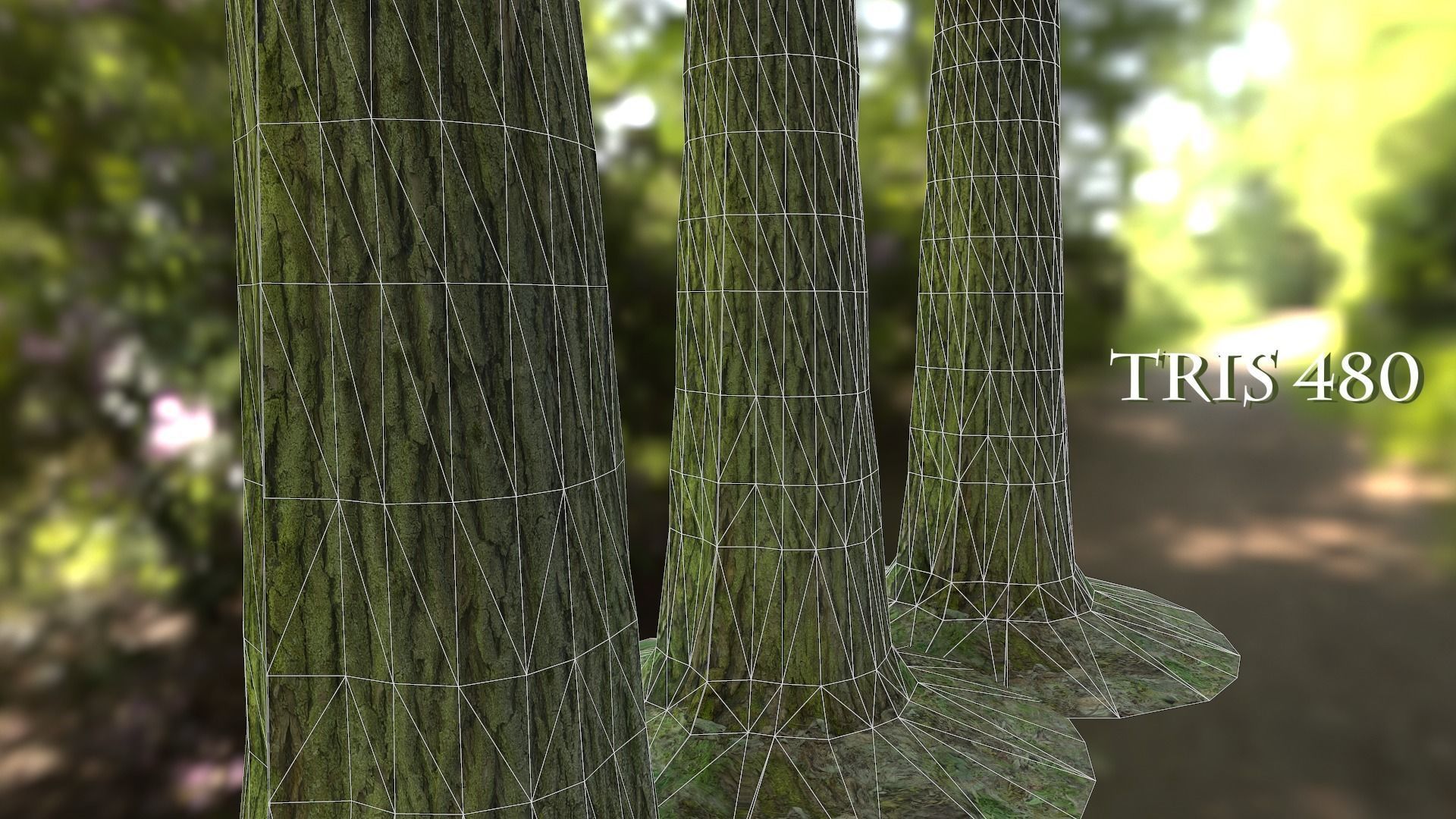 Tree Realistic - Low Poly - Game Ready close up of trees in f... Low-poly 3D model_5