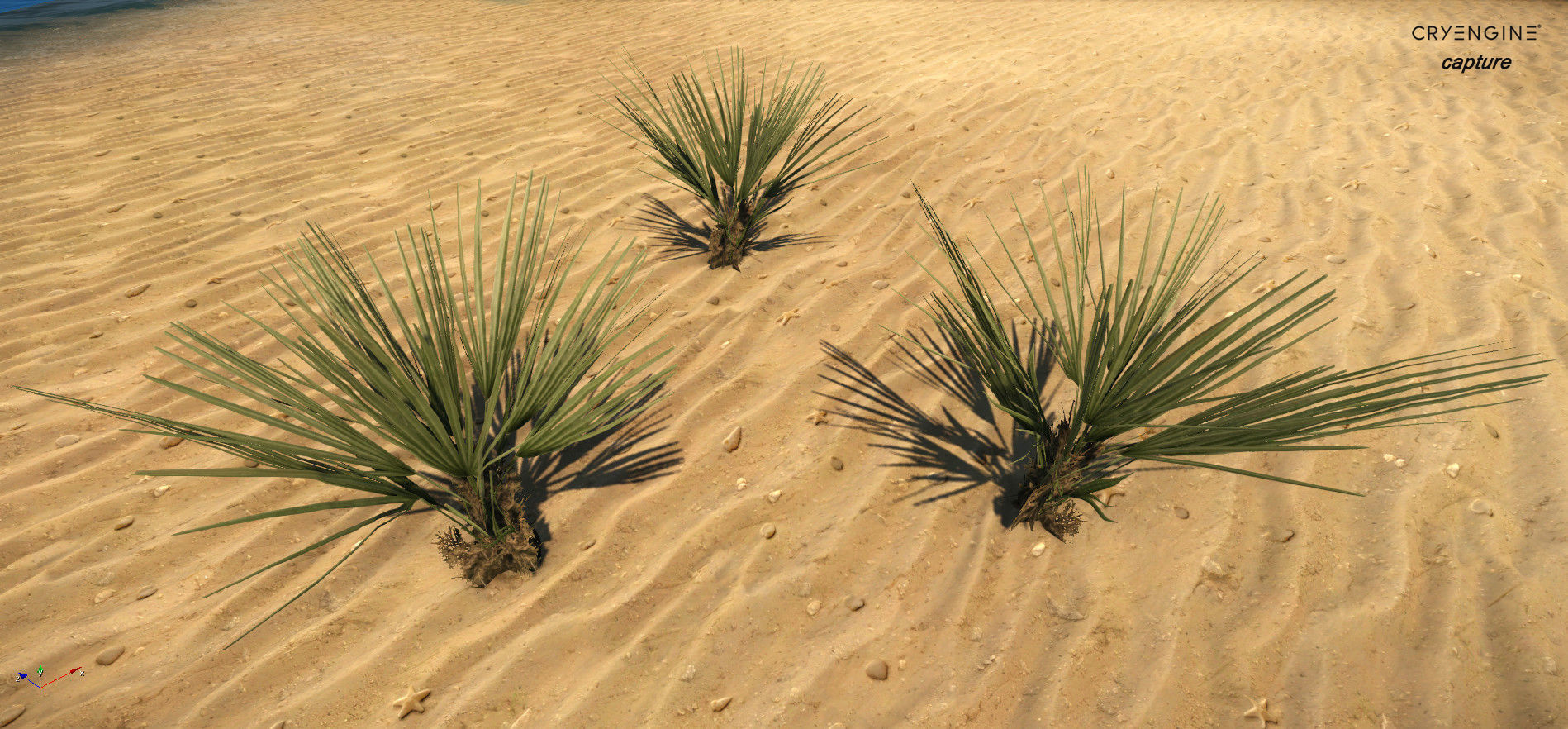 Palm bush Small Low-poly 3D model_1