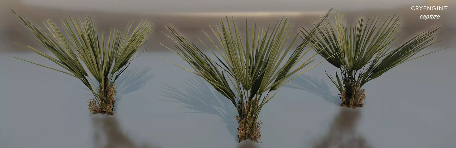 Palm bush Small Low-poly 3D model_0