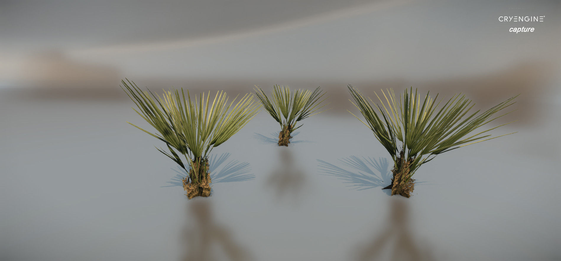 Palm bush Small Low-poly 3D model_3