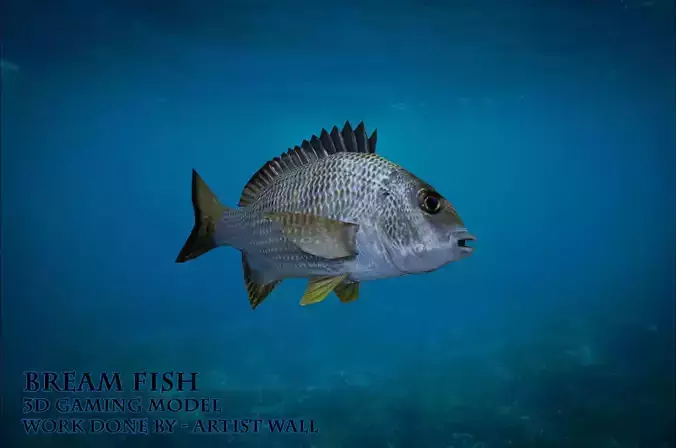 Bream Fish Lowpoly 3D Gaming model Low-poly 3D model