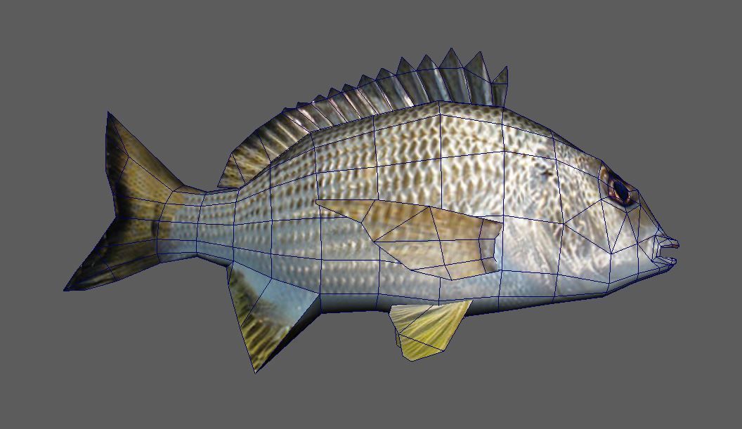 Bream Fish Lowpoly 3D Gaming model Low-poly 3D model_3