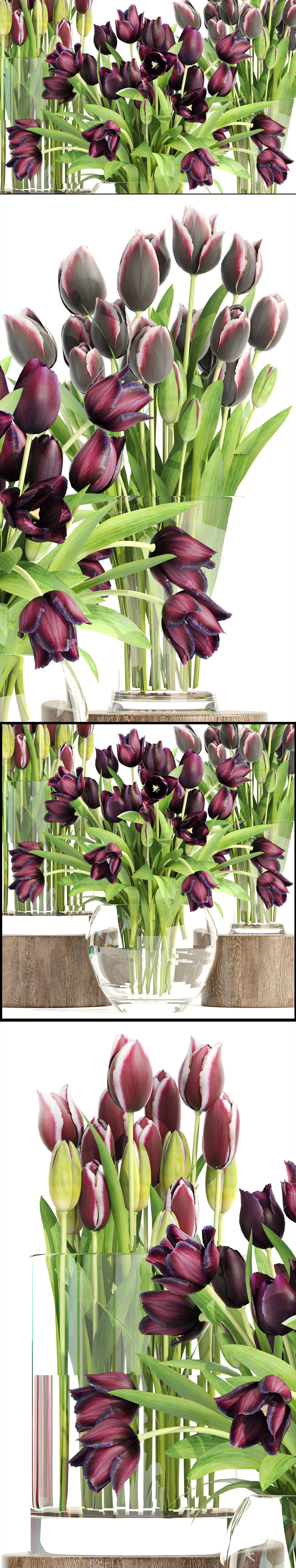 Bouquet of tulips 3 pieces 3D model_9