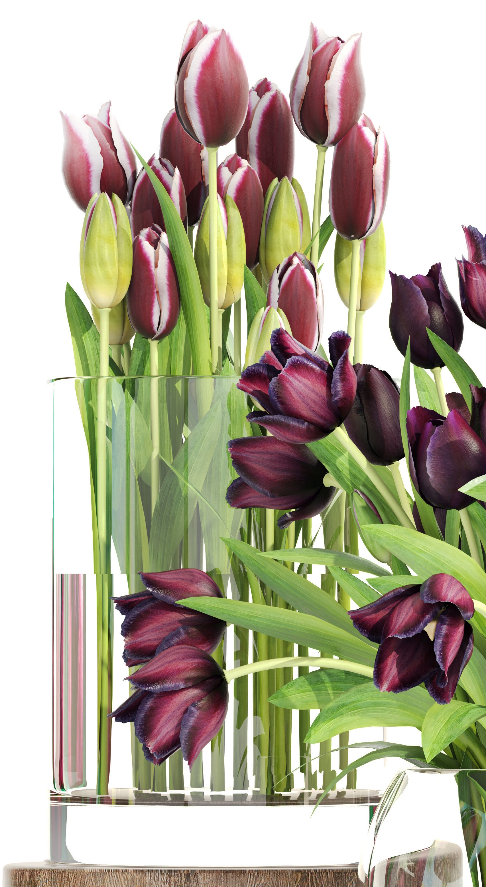 Bouquet of tulips 3 pieces 3D model_2