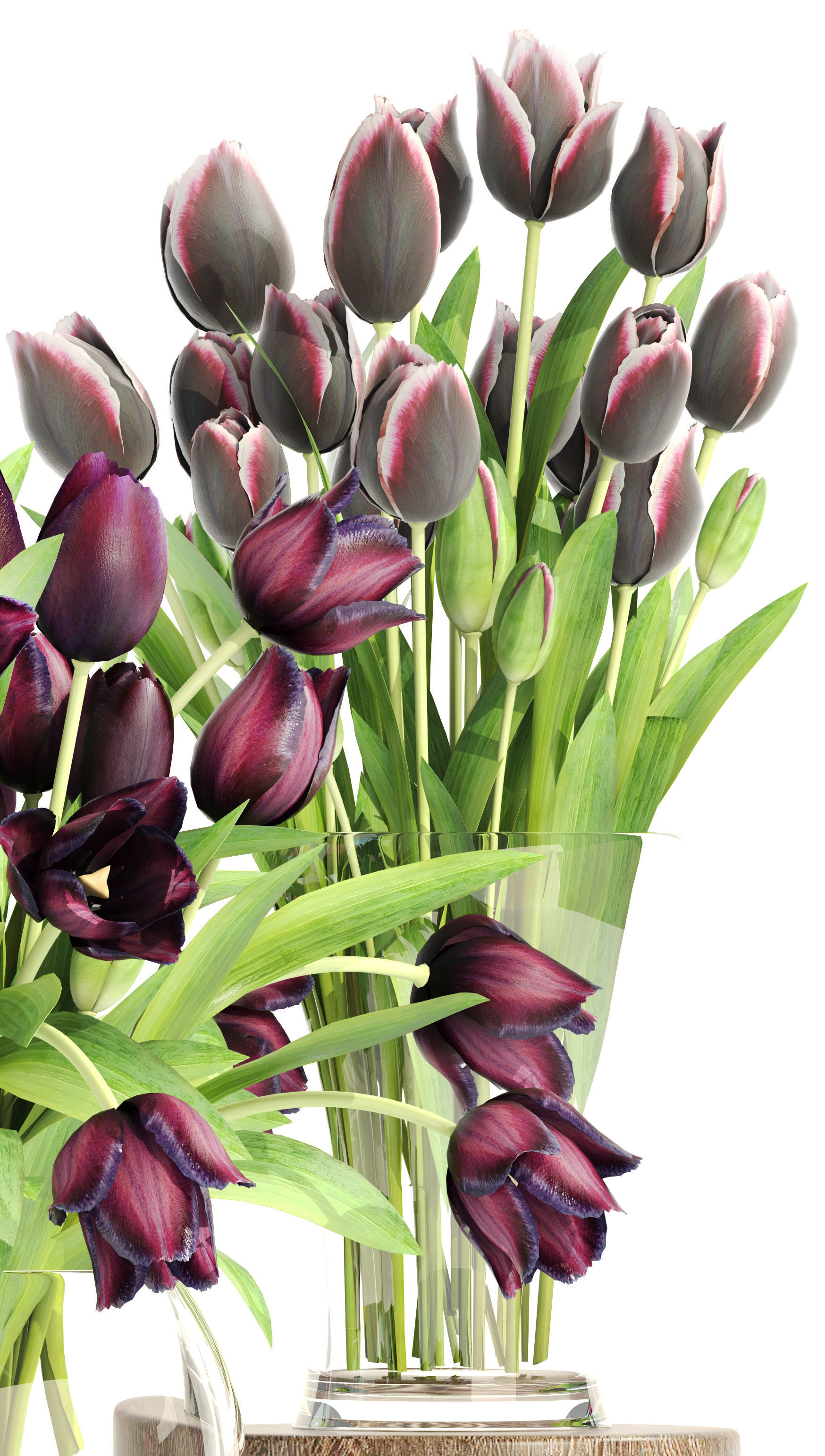 Bouquet of tulips 3 pieces 3D model_4