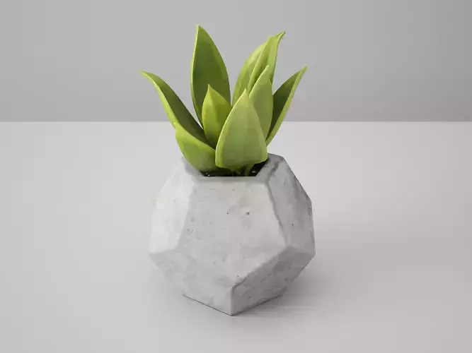 Dodekaeder Concrete Potted Cactus 3D model