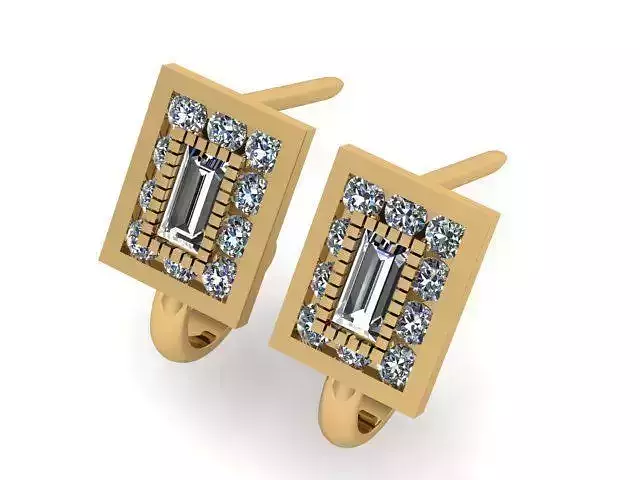 Earrings T01102