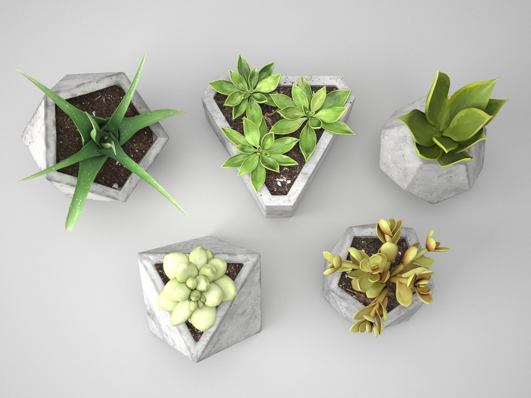 Icosaeder Concrete Potted Cactus 3D model_5