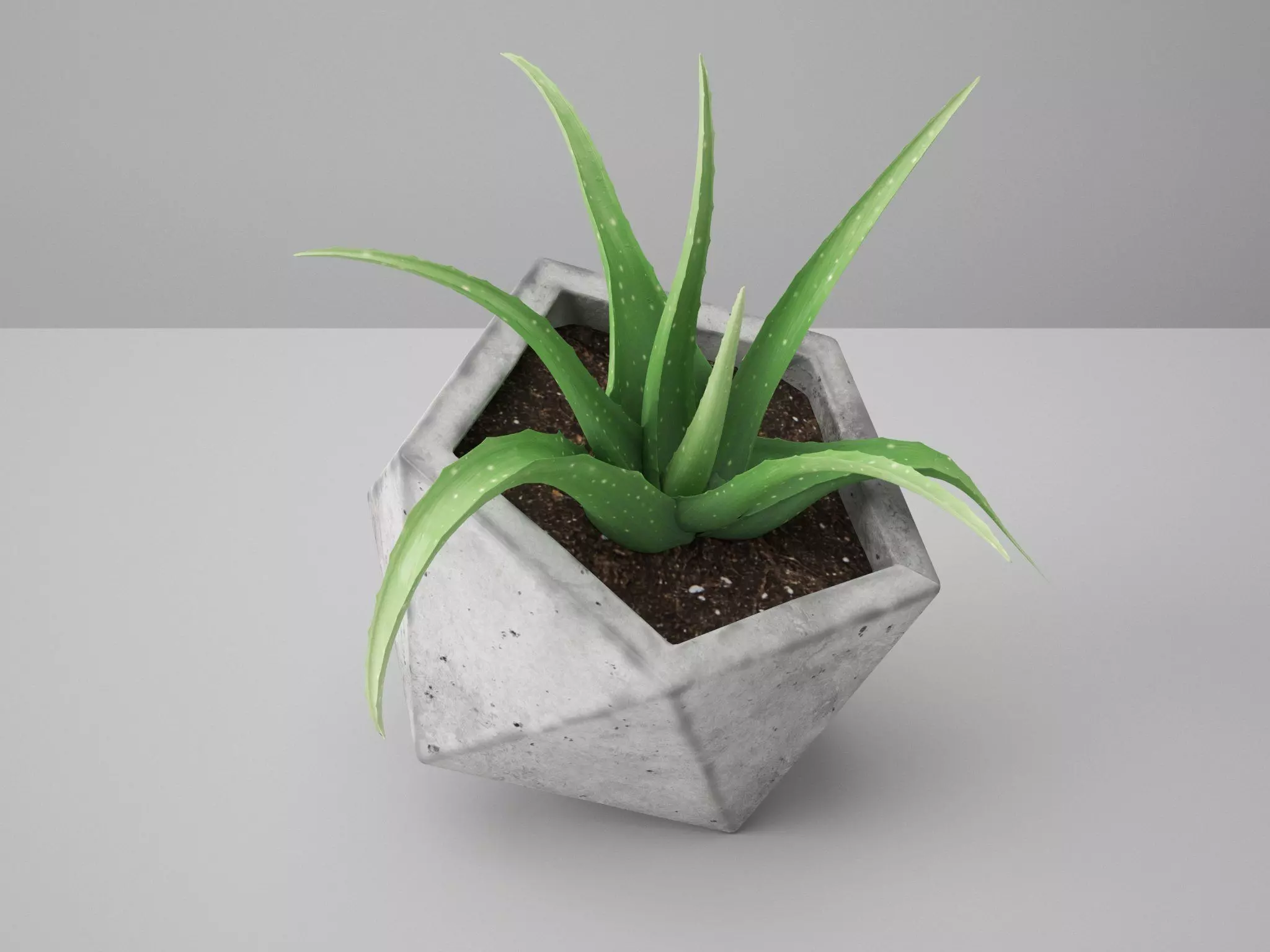 Icosaeder Concrete Potted Cactus 3D model_0