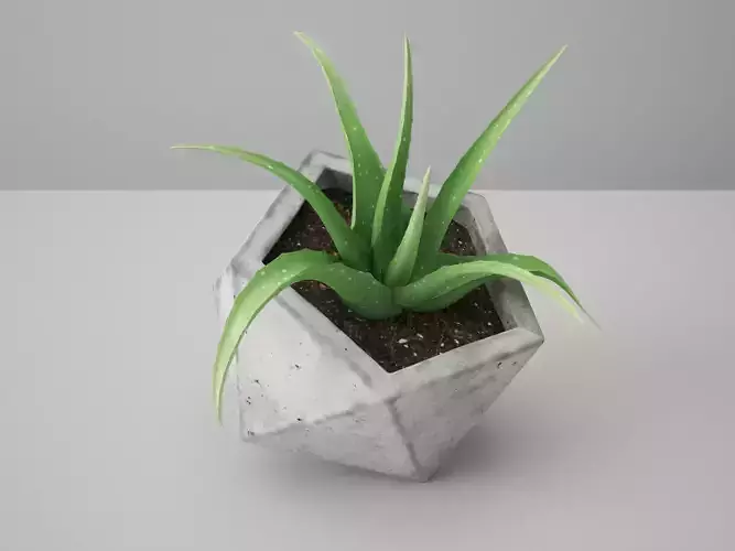 Icosaeder Concrete Potted Cactus 3D model