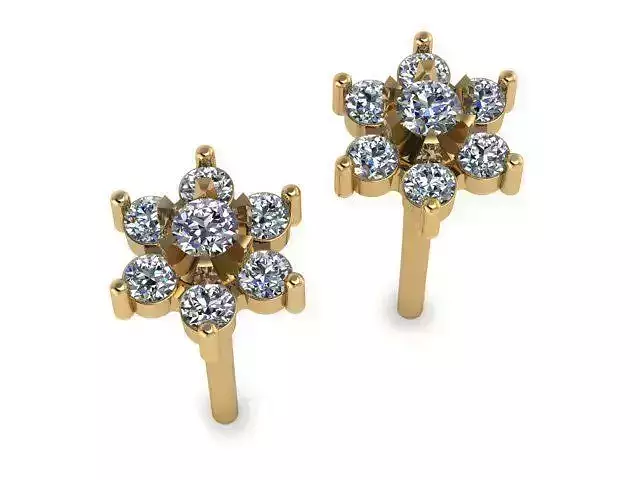 Earrings T01110