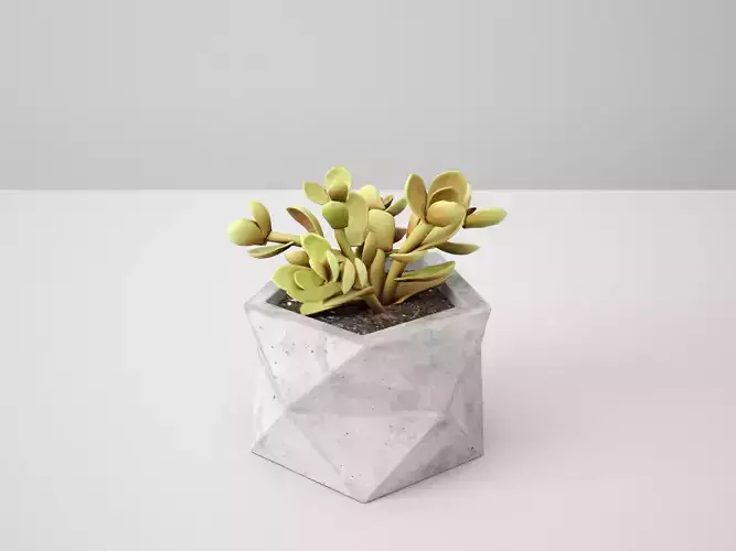 Polyhedral Concrete Potted Cactus  3D model