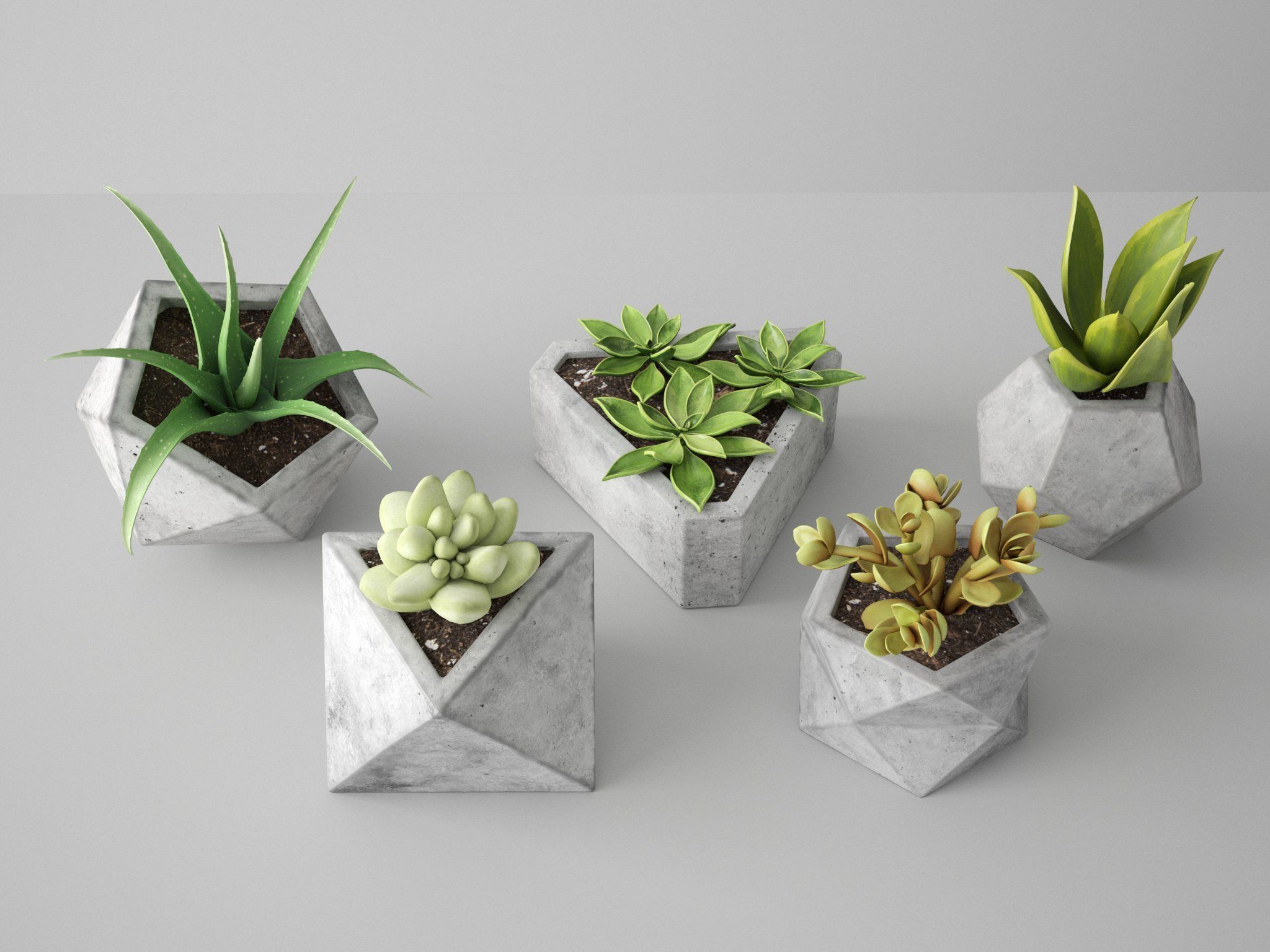 Triangle Concrete Potted Cactus  3D model_4