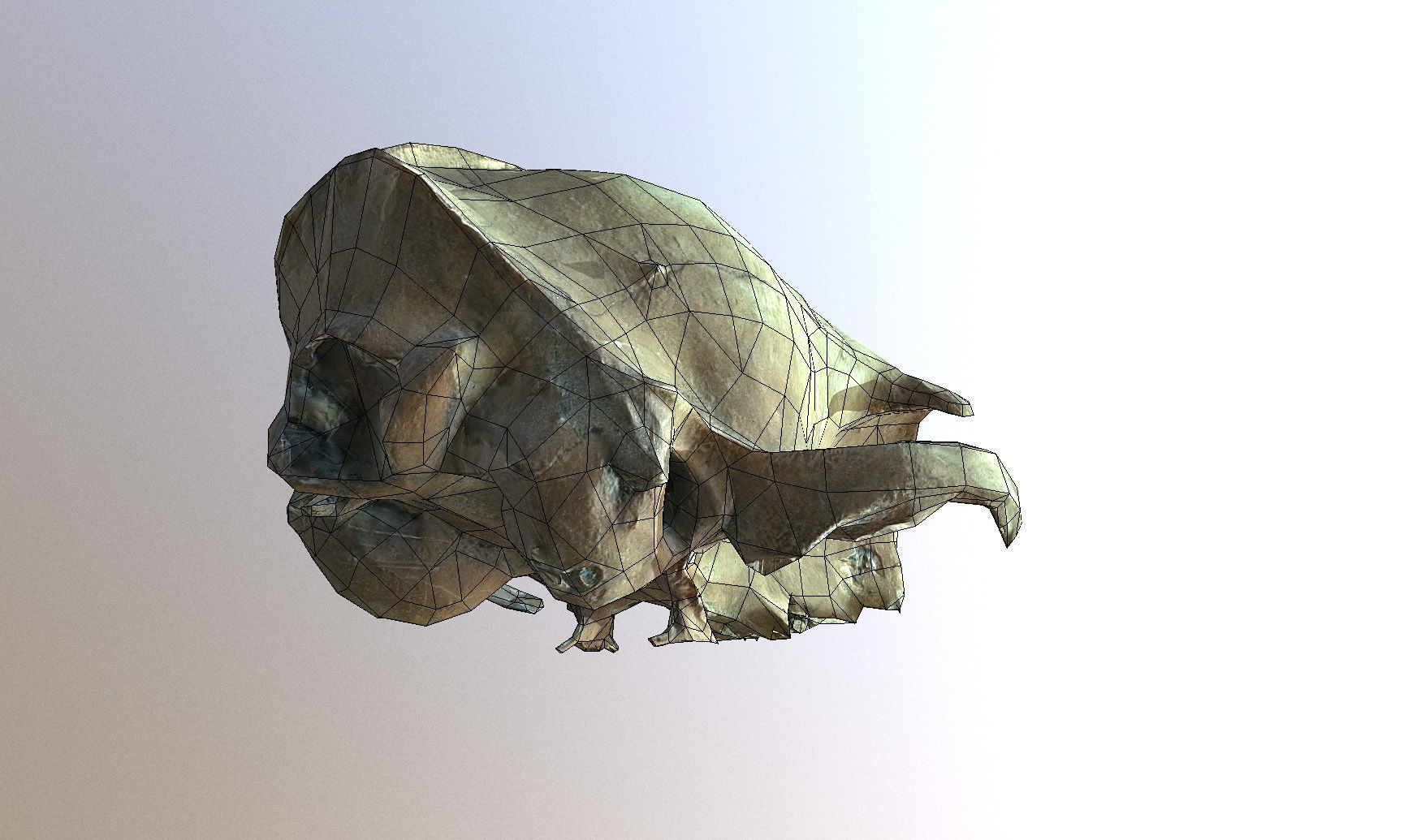 Photorealistic scanned small skull of rodent  Low-poly 3D model_9