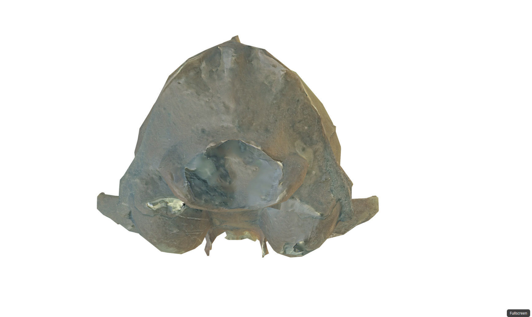 Photorealistic scanned small skull of rodent  Low-poly 3D model_26