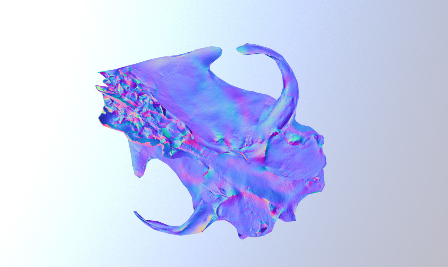 Photorealistic scanned small skull of rodent  Low-poly 3D model_30