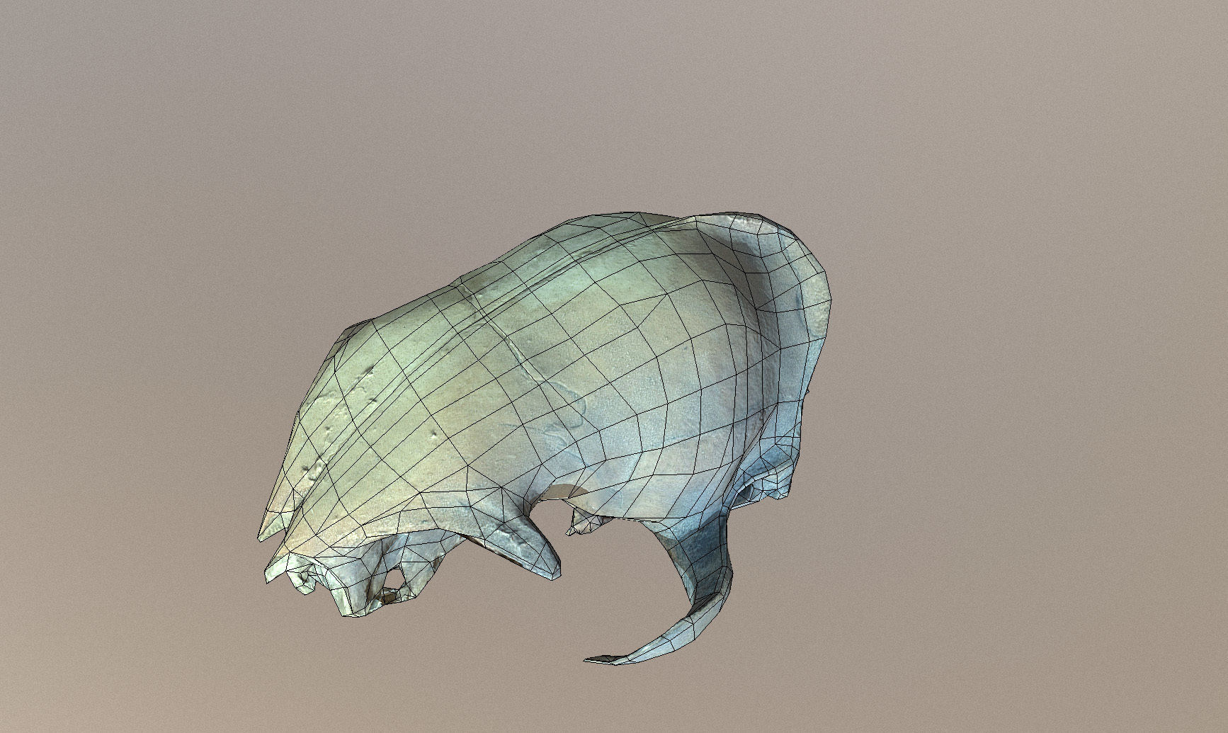Photorealistic scanned small skull of rodent  Low-poly 3D model_17