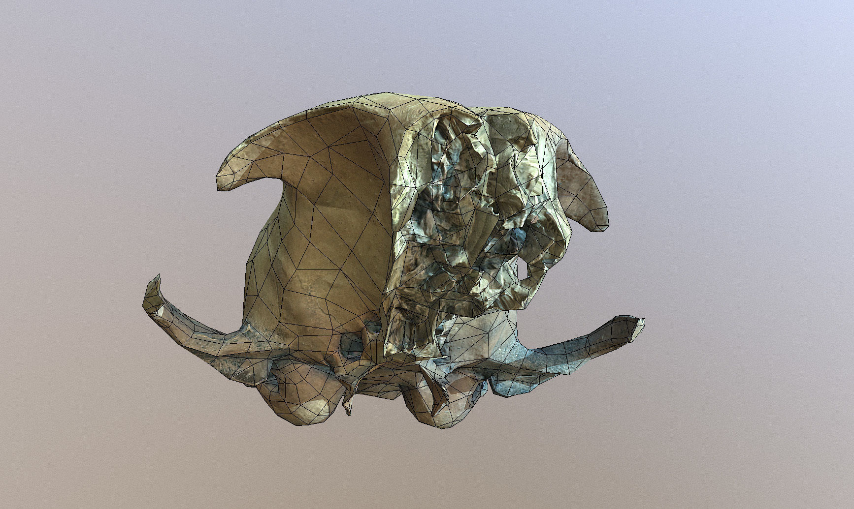 Photorealistic scanned small skull of rodent  Low-poly 3D model_3