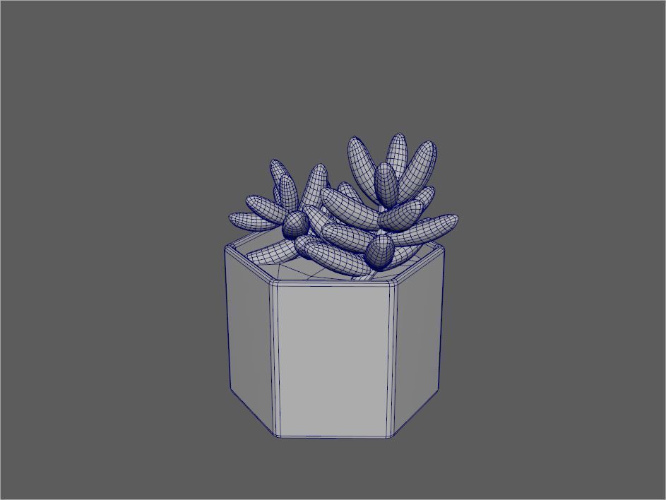 Sedum Golden Glow Copper Potted Cacutus 3D model_1