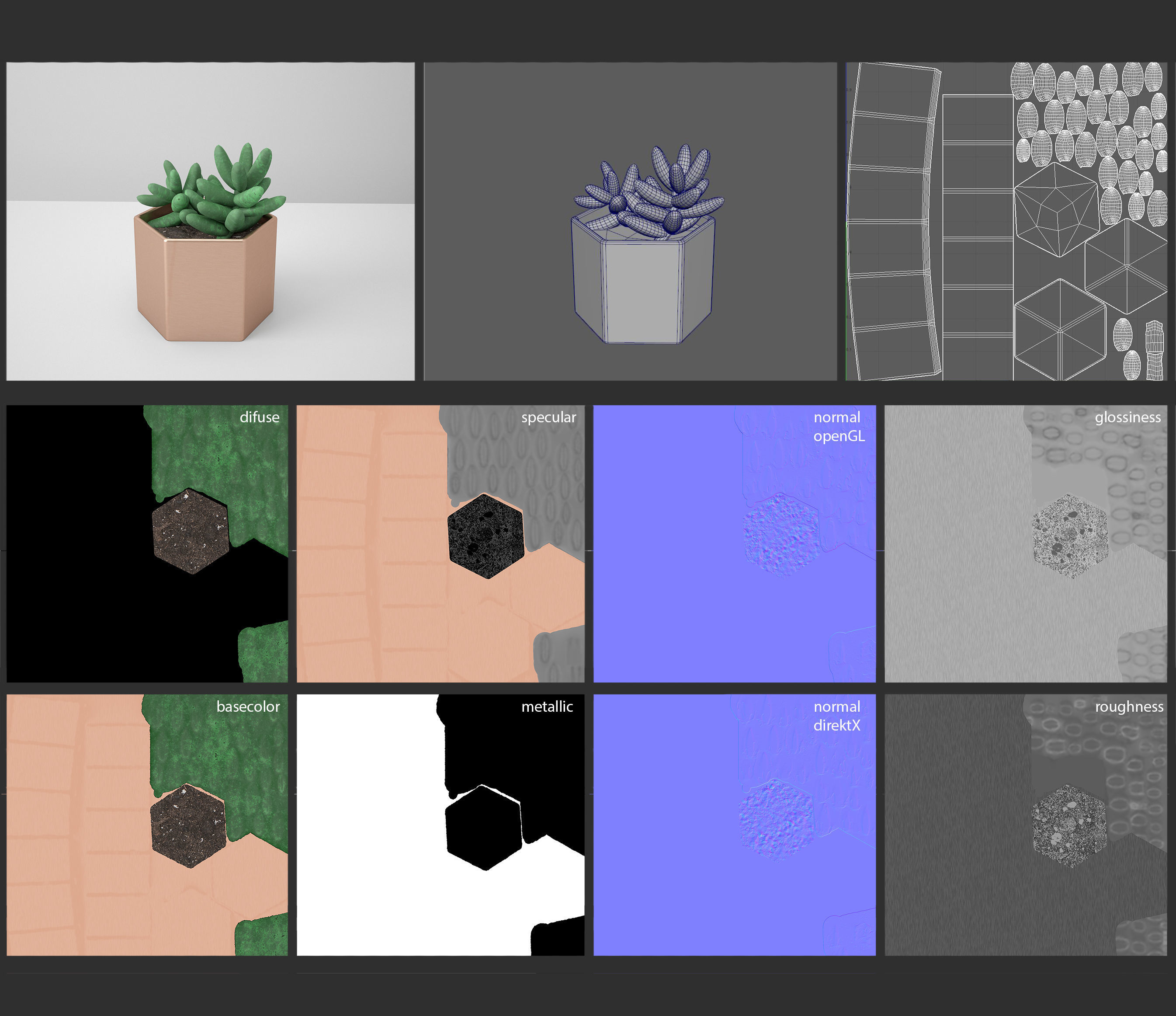 Sedum Golden Glow Copper Potted Cacutus 3D model_2