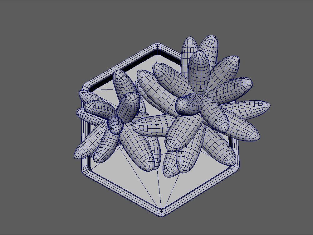 Sedum Golden Glow Copper Potted Cacutus 3D model_3