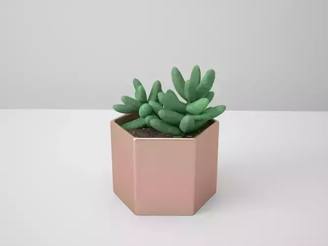Sedum Golden Glow Copper Potted Cacutus 3D model