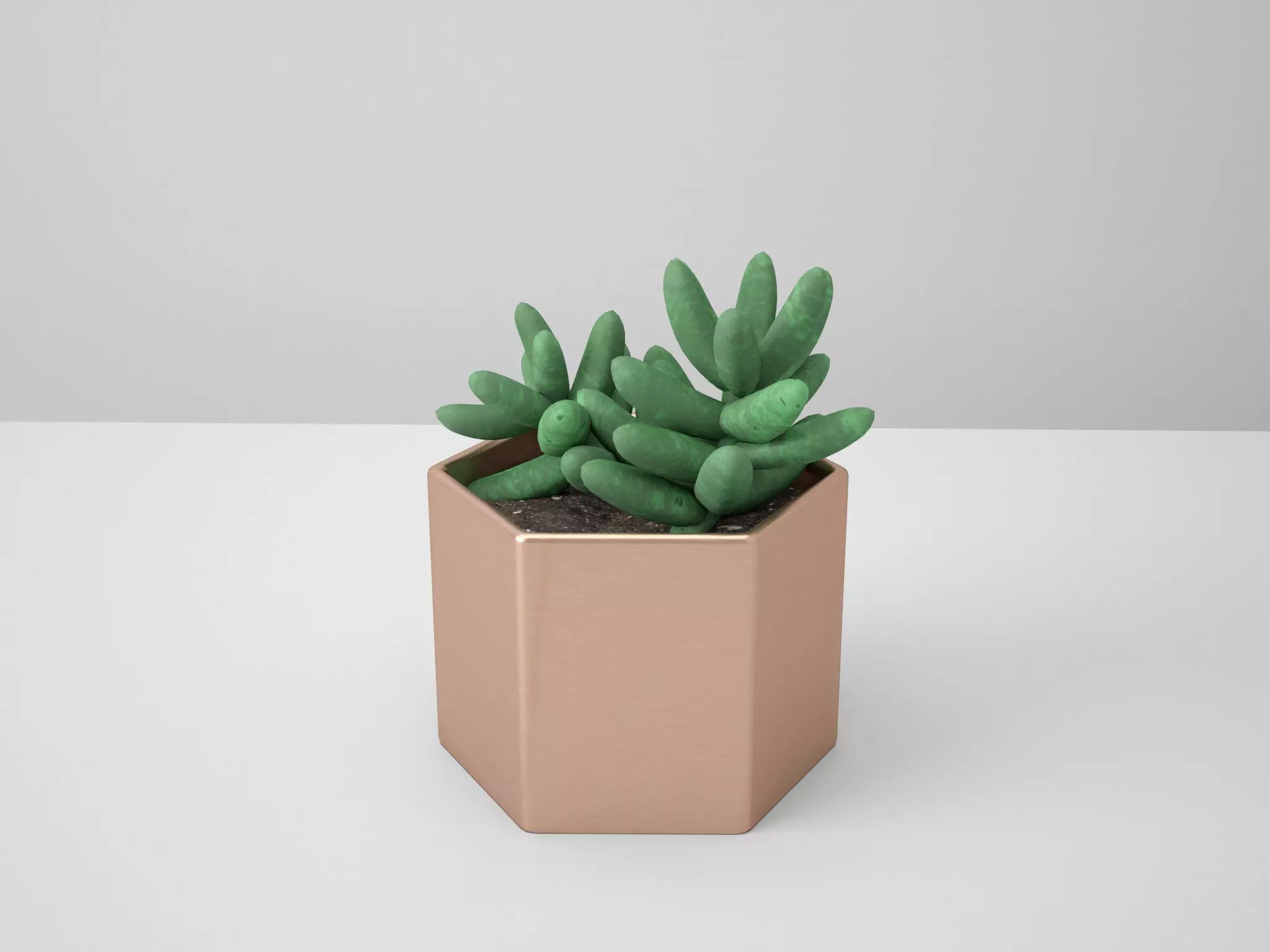 Sedum Golden Glow Copper Potted Cacutus 3D model_0