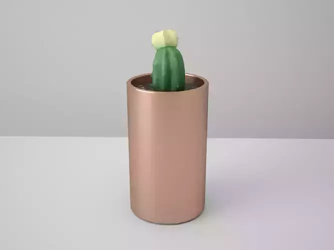 Moon Cactus Copper Potted 3D model