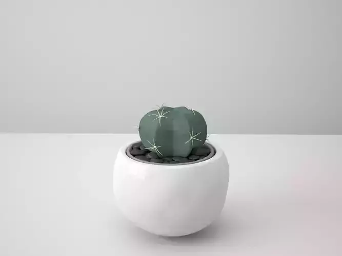 Gymnocalycium White Potted Cactus 3D model