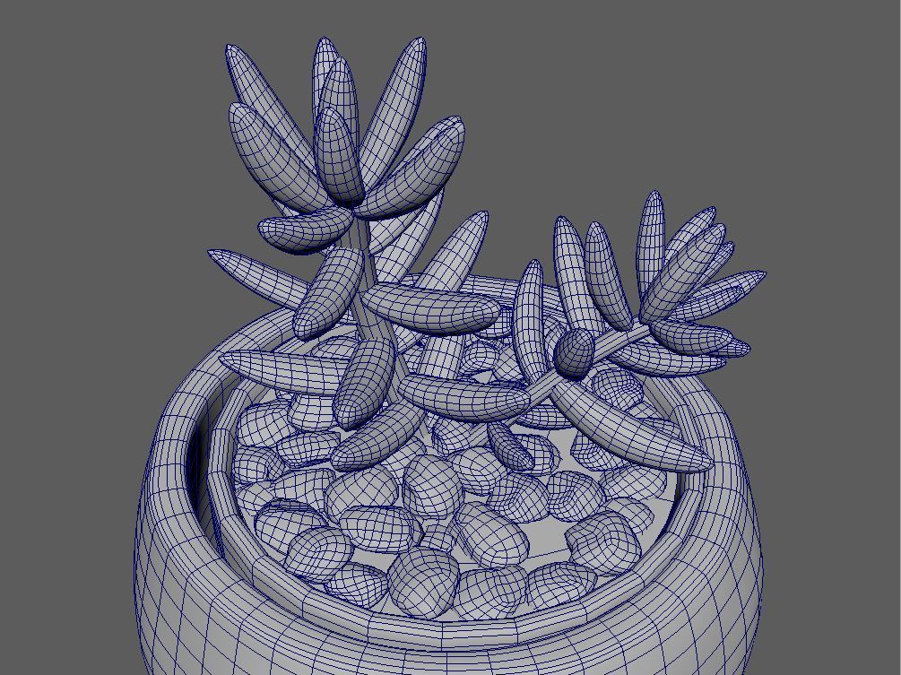 Sedum Sediform White Potted Cactus 3D model_3