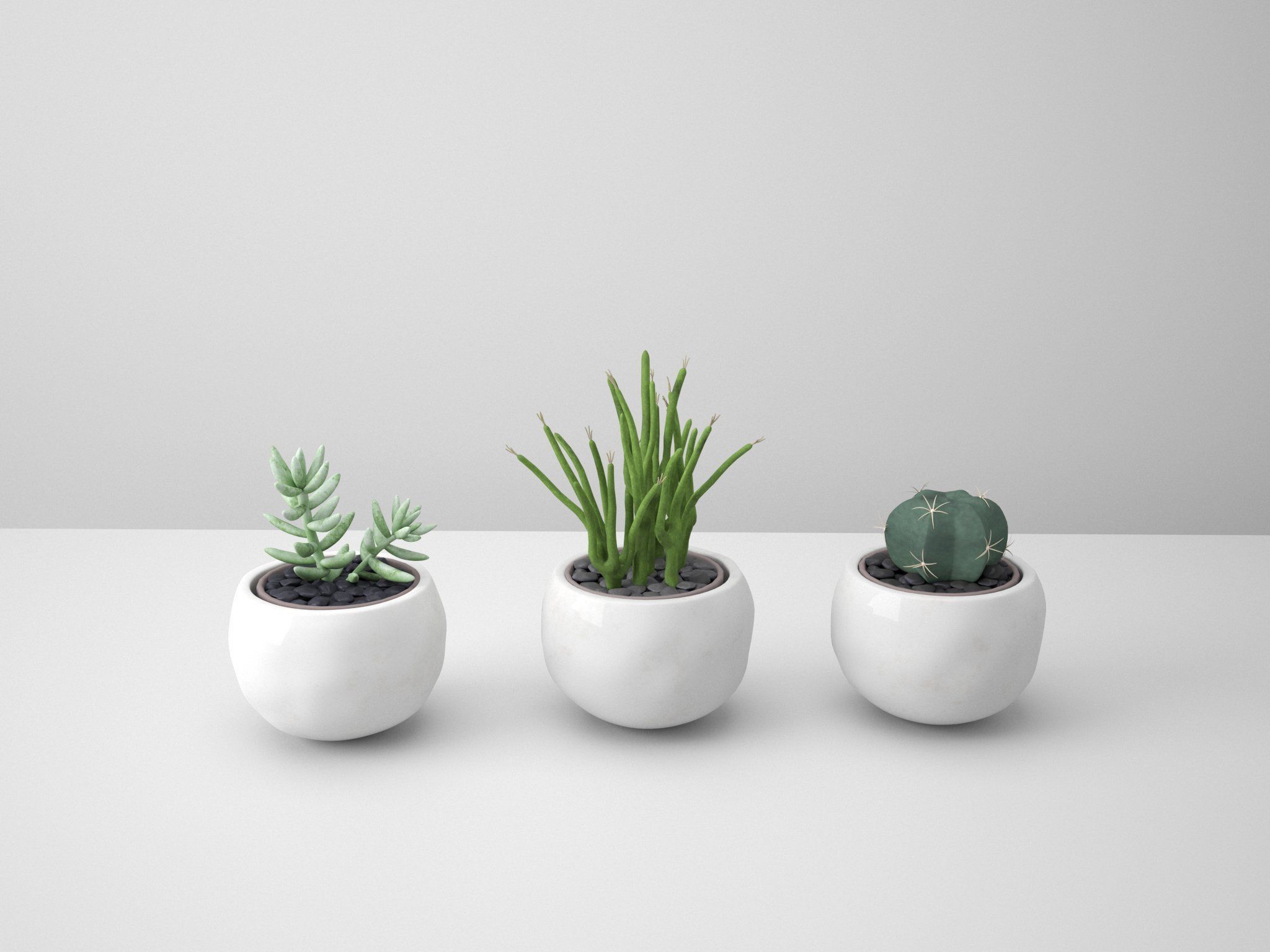 Sedum Sediform White Potted Cactus 3D model_4