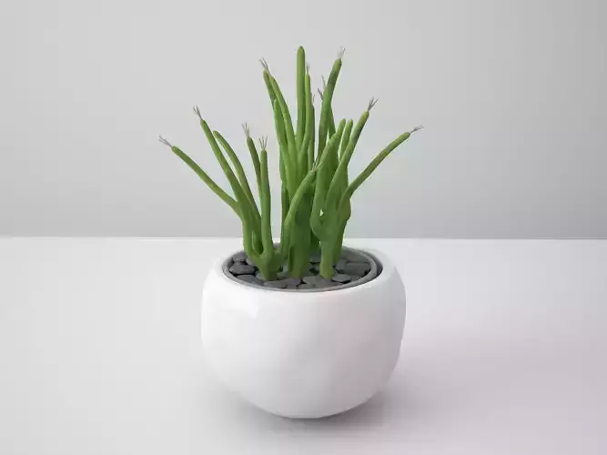 Snake White Potted Cactus 3D model