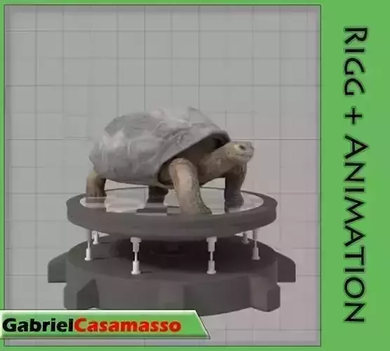 Galapagos-Tortoise tortoise 3D model