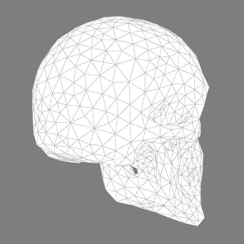 Abstract skull 3D print model_5