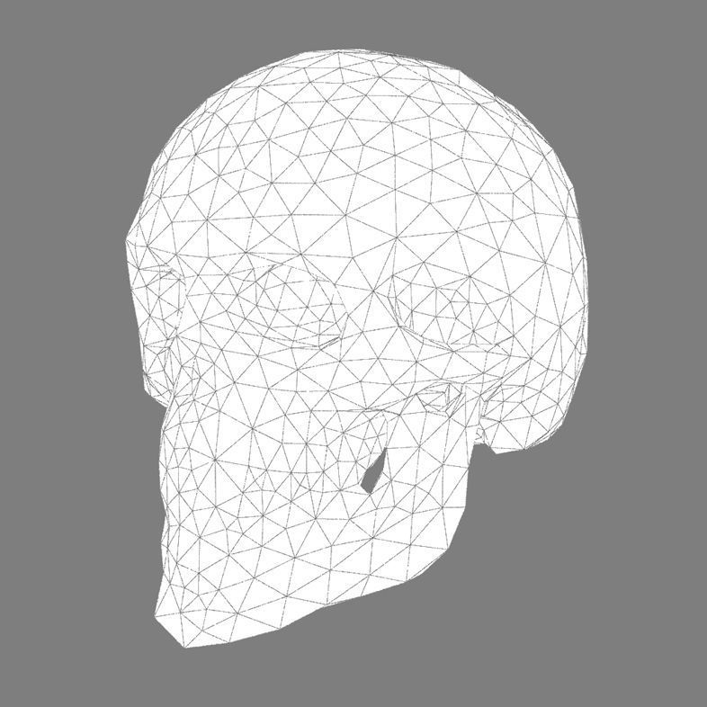 Abstract skull 3D print model_6
