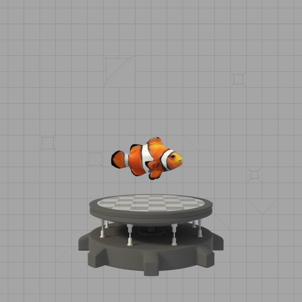 Clown Fish 3D model_2