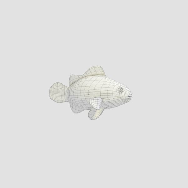 Clown Fish 3D model_3