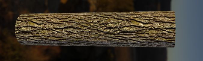 Tiling 4K Tree Bark Textures Texture