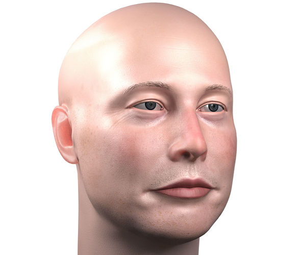 Elon Musk skin textured 3D portrait  Low-poly 3D model