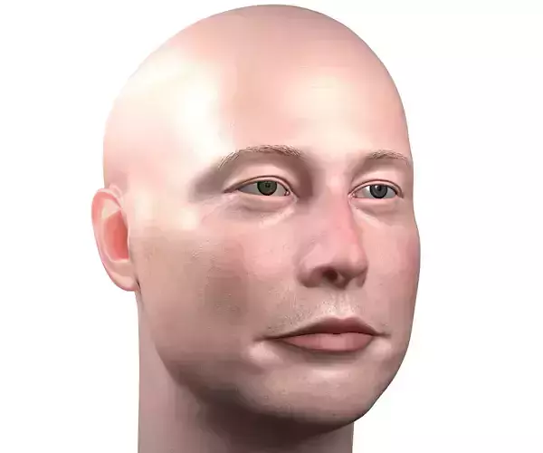 Elon Musk skin textured 3D portrait  Low-poly 3D model